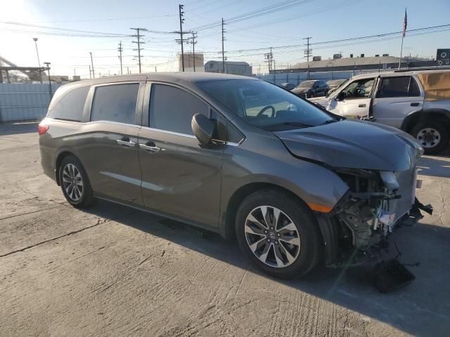 2023 Honda Odyssey EXL