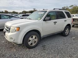 Salvage cars for sale from Copart Riverview, FL: 2012 Ford Escape XLT
