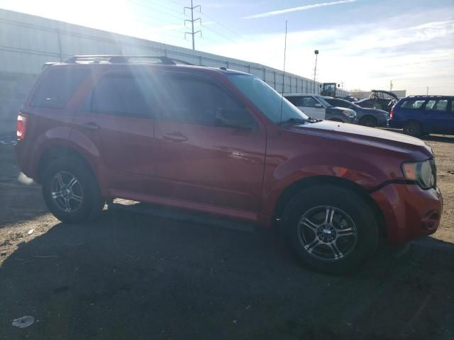 2009 Ford Escape XLT