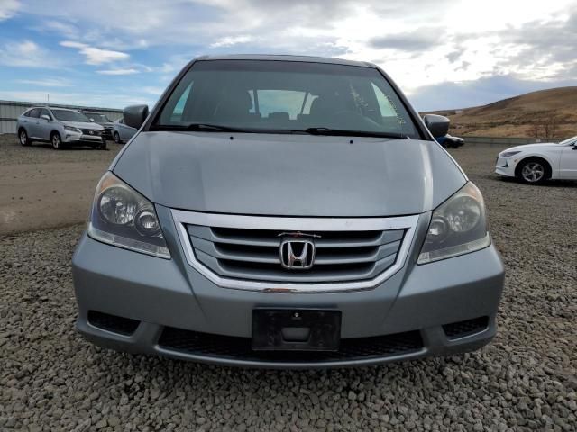 2010 Honda Odyssey EXL