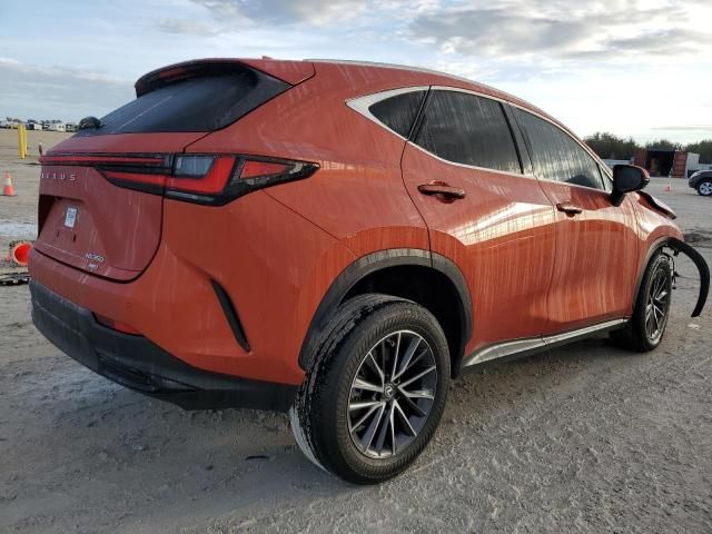 2022 Lexus NX 350