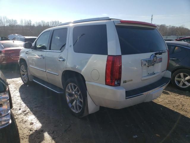 2013 Cadillac Escalade Hybrid