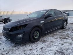 Vehiculos salvage en venta de Copart Nisku, AB: 2014 KIA Optima Hybrid