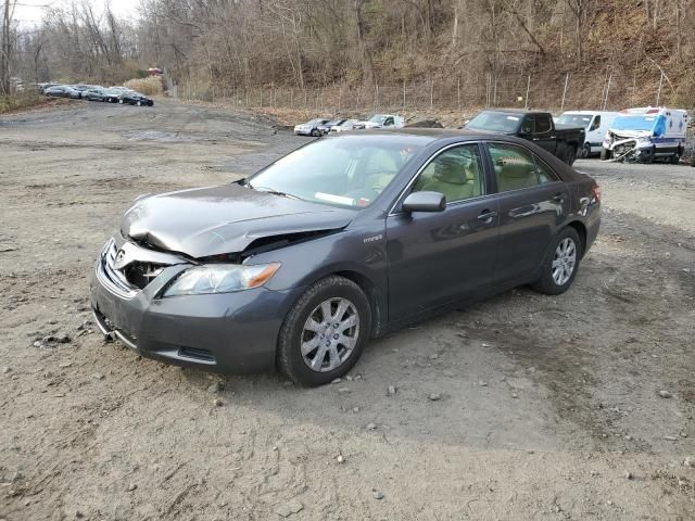 2009 Toyota Camry Hybrid