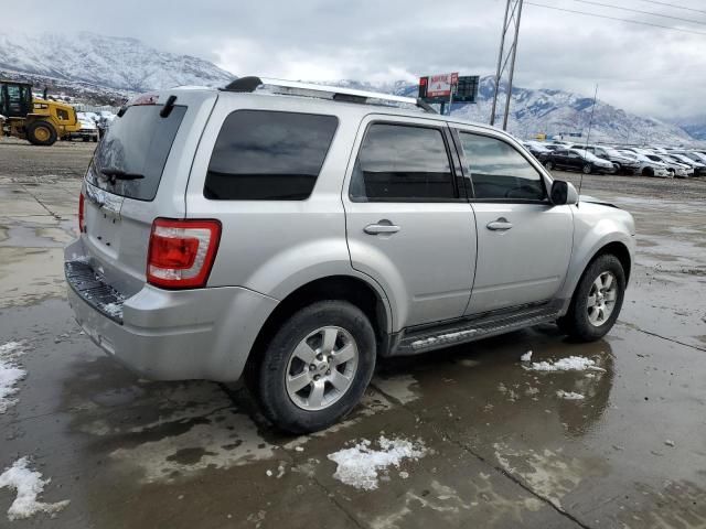 2010 Ford Escape Limited