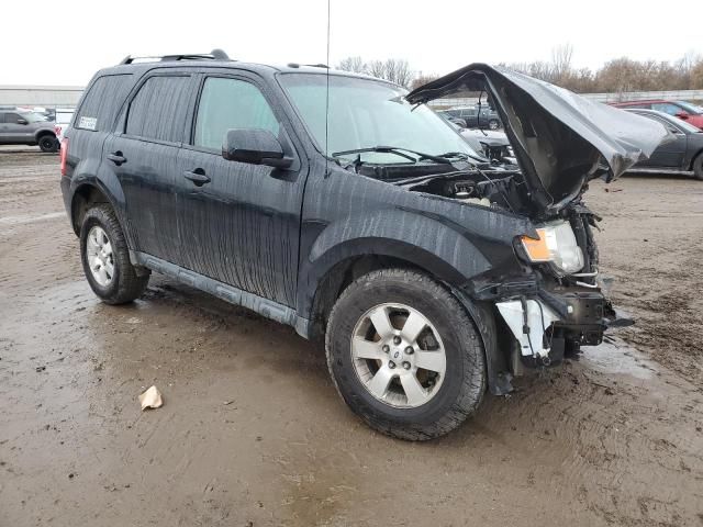 2010 Ford Escape Limited