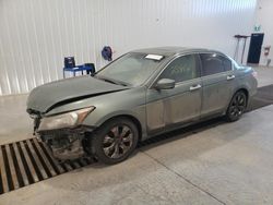 Honda salvage cars for sale: 2008 Honda Accord EXL