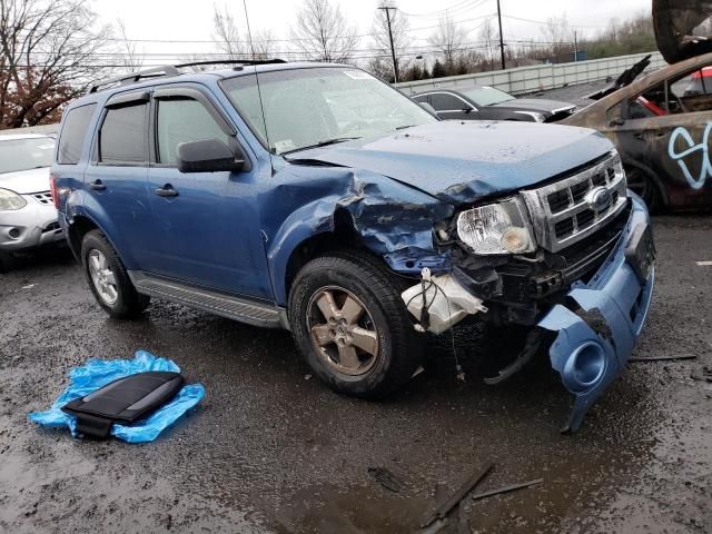 2009 Ford Escape XLT