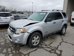 Salvage cars for sale from Copart Fort Wayne, IN: 2008 Ford Escape XLT