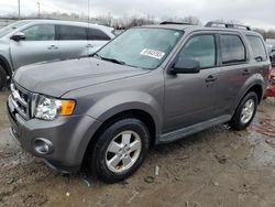 Salvage cars for sale at Louisville, KY auction: 2012 Ford Escape XLT