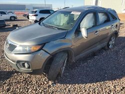 Salvage cars for sale from Copart Phoenix, AZ: 2013 KIA Sorento EX