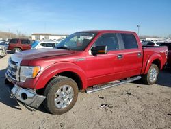 Salvage cars for sale at Indianapolis, IN auction: 2013 Ford F150 Supercrew