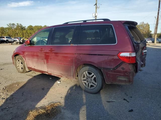 2005 Honda Odyssey EXL