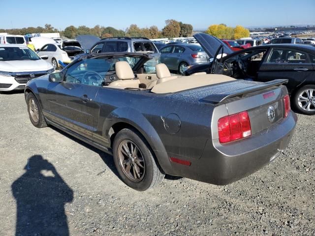 2005 Ford Mustang