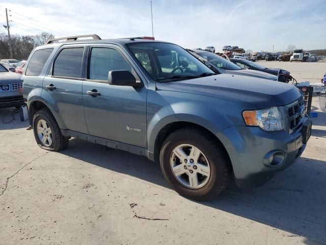 2011 Ford Escape Hybrid