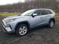 Salvage cars for sale at Finksburg, MD auction: 2019 Toyota Rav4 XLE