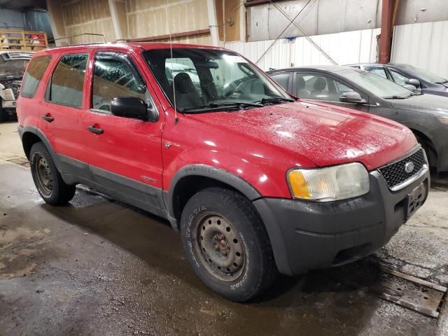 2001 Ford Escape XLT