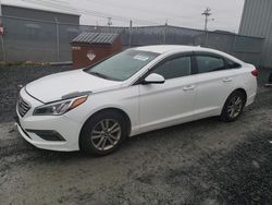 Salvage cars for sale from Copart Elmsdale, NS: 2016 Hyundai Sonata SE