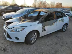 Salvage cars for sale at Cahokia Heights, IL auction: 2013 Ford Focus SE