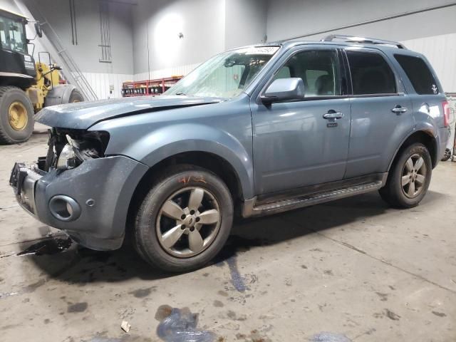 2010 Ford Escape Limited