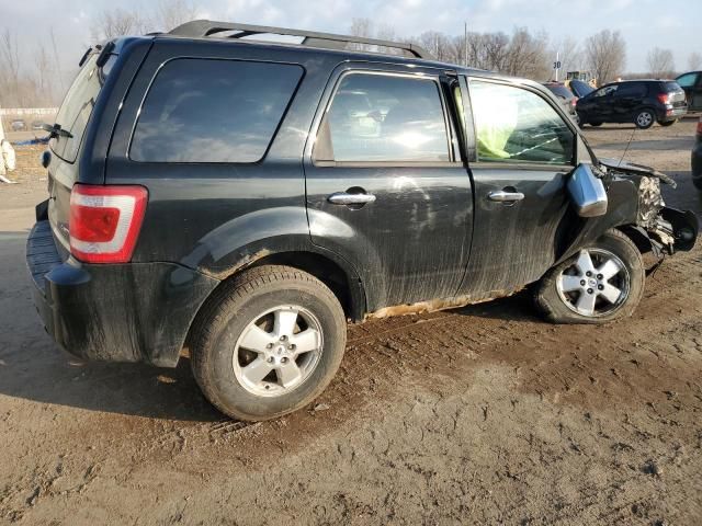 2009 Ford Escape XLT