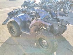 Vehiculos salvage en venta de Copart Phoenix, AZ: 2007 Polaris Sportsman 500 EFI