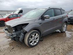 Ford Escape salvage cars for sale: 2014 Ford Escape Titanium