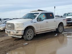 Salvage cars for sale from Copart Amarillo, TX: 2016 Ford F150 Supercrew