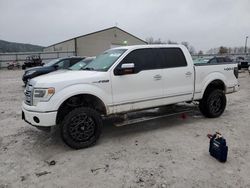 2013 Ford F150 Supercrew for sale in Lawrenceburg, KY
