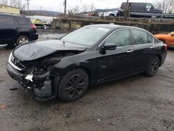 Honda Accord salvage cars for sale: 2013 Honda Accord LX