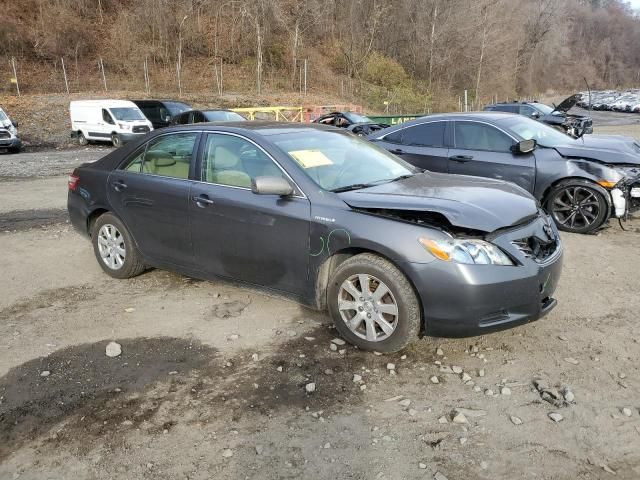 2009 Toyota Camry Hybrid