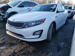 Salvage cars for sale from Copart Waldorf, MD: 2014 KIA Optima Hybrid
