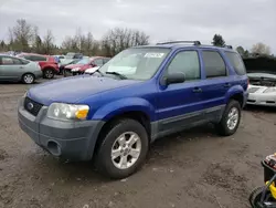 Salvage cars for sale from Copart Portland, OR: 2005 Ford Escape XLT