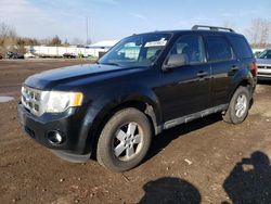 Salvage cars for sale from Copart Columbia Station, OH: 2010 Ford Escape XLT