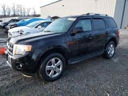 Ford Vehiculos salvage en venta: 2012 Ford Escape Limited