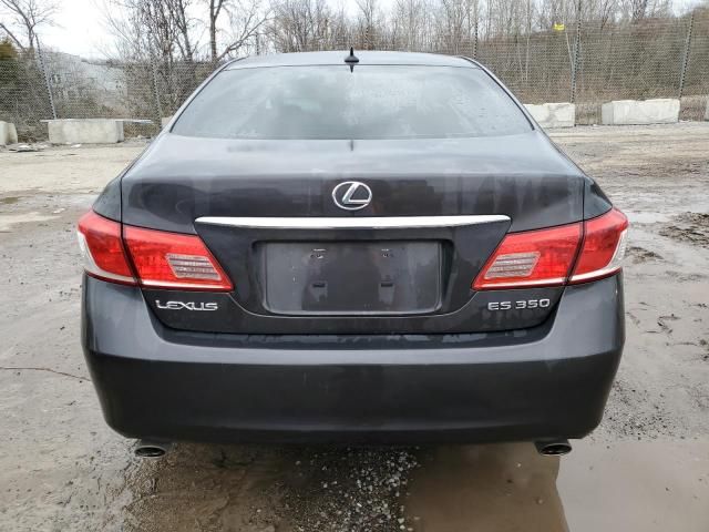 2010 Lexus ES 350