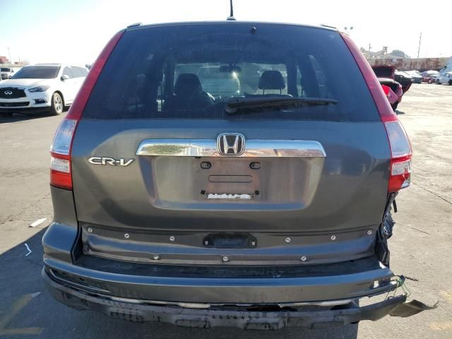 2010 Honda CR-V EXL