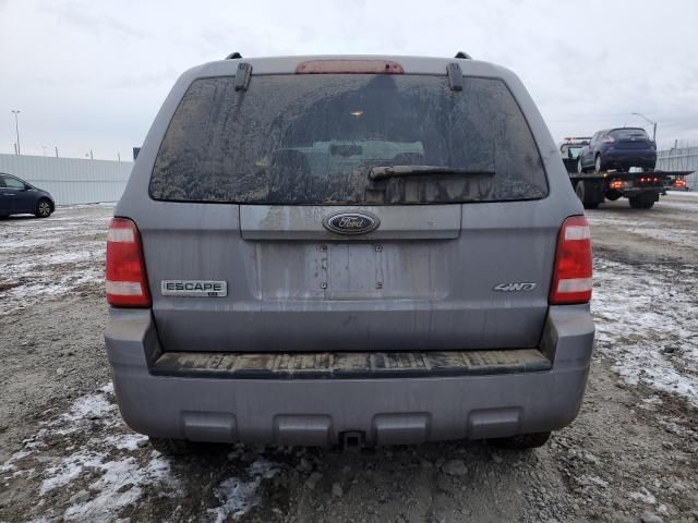 2008 Ford Escape XLT