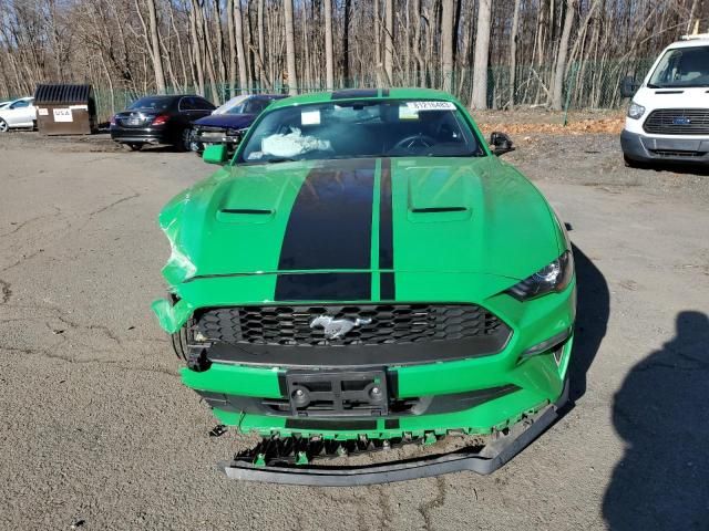 2019 Ford Mustang