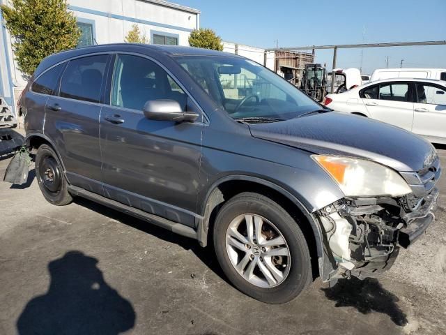 2010 Honda CR-V EXL