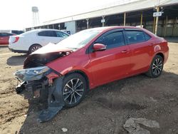 Salvage cars for sale at Phoenix, AZ auction: 2017 Toyota Corolla L