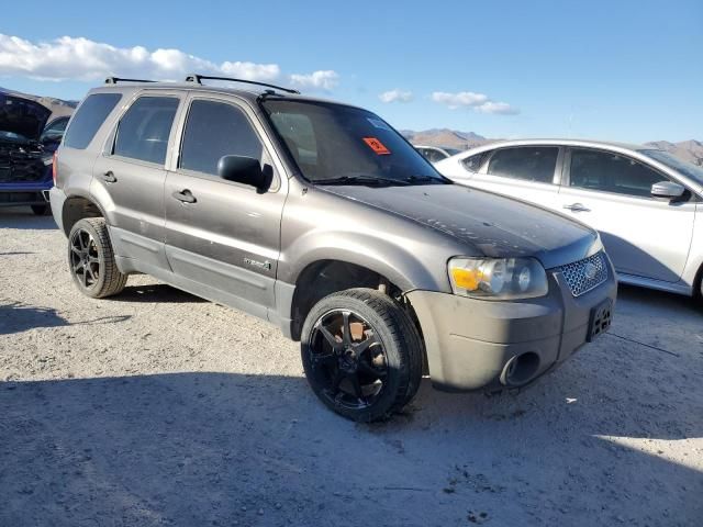 2005 Ford Escape HEV