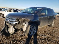 Salvage cars for sale at Magna, UT auction: 2014 Ford Edge SEL