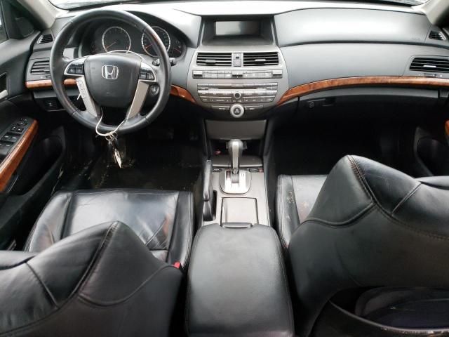 2011 Honda Accord EXL