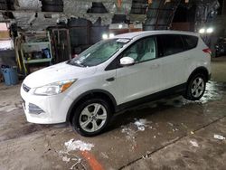 Salvage cars for sale from Copart Albany, NY: 2013 Ford Escape SE