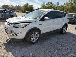 Ford Escape SE salvage cars for sale: 2016 Ford Escape SE