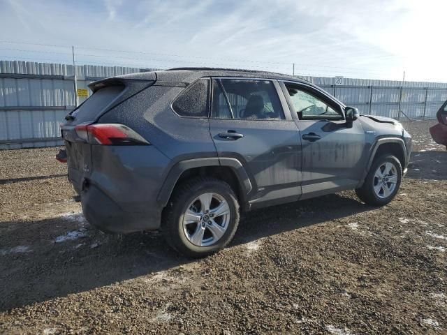 2019 Toyota Rav4 XLE