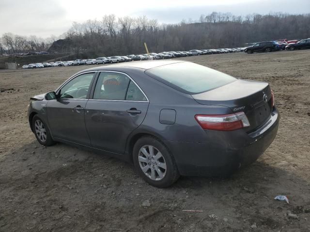 2009 Toyota Camry Hybrid