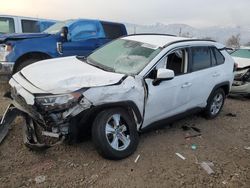 Toyota Rav4 XLE salvage cars for sale: 2020 Toyota Rav4 XLE