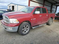 Dodge salvage cars for sale: 2009 Dodge RAM 1500